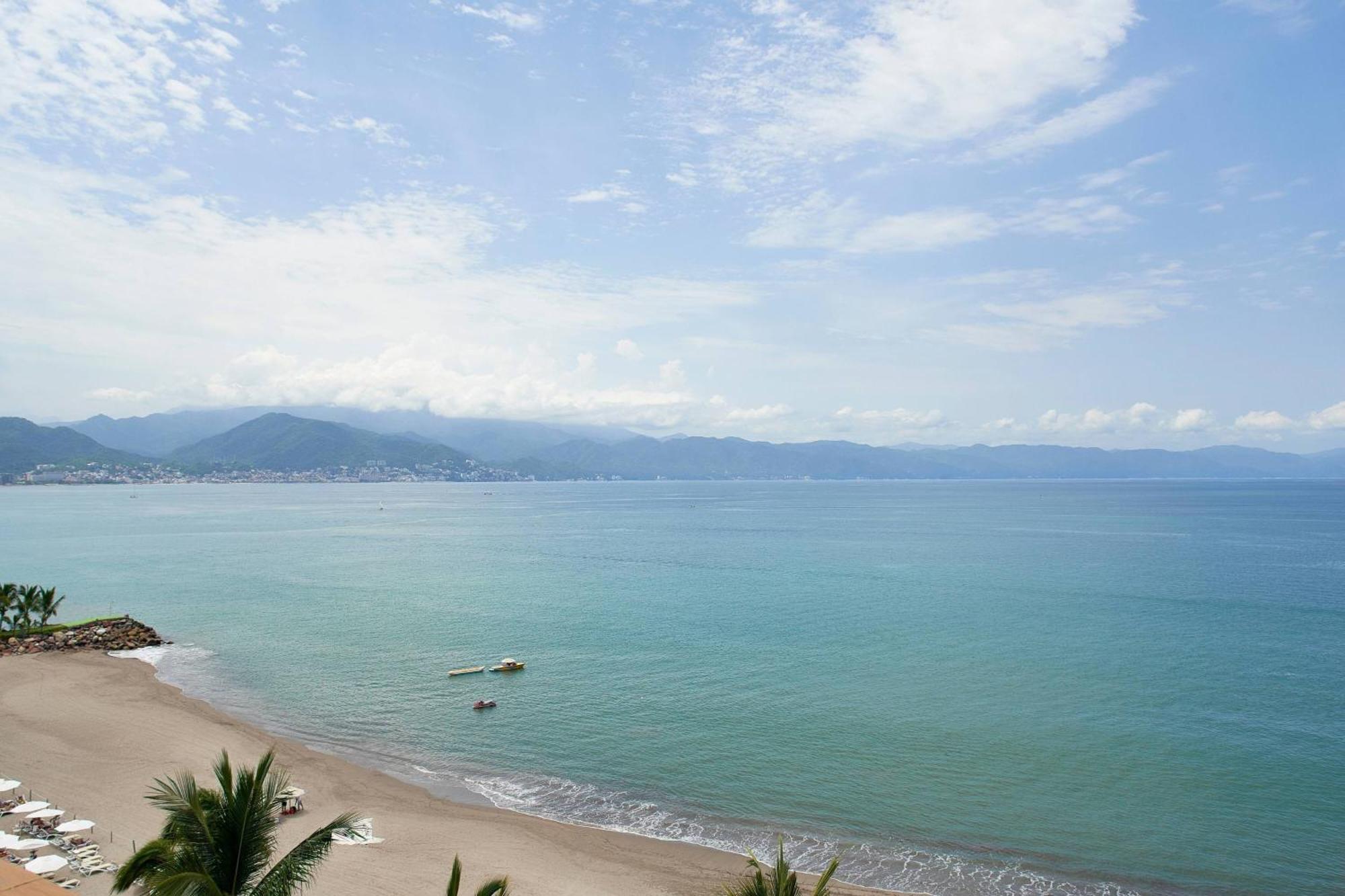 1 Bedroom Presidential Suite 1 King Oceanfront Terrace